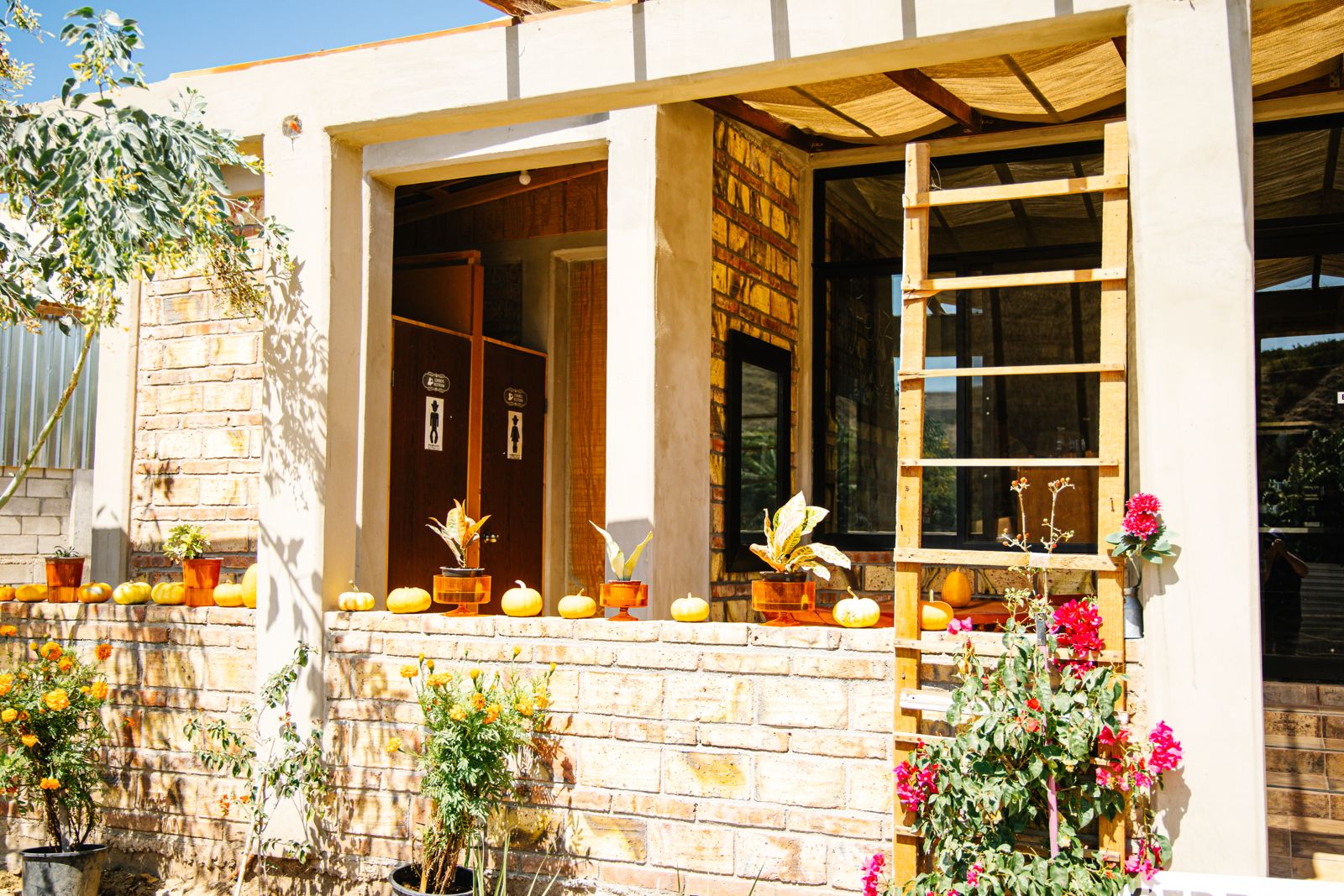 Fachada de María's con calabazas, cempasúchil y bugambilias